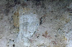 mm00110m.jpg