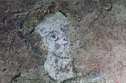 mm00112m.jpg