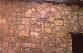 mm00164p.jpg (2026 octets)