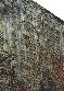 beauv05p.jpg (2808 octets)
