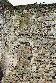 beauv08p.jpg (3064 octets)