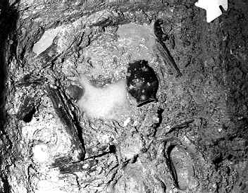 wpe16.jpg (24684 octets)