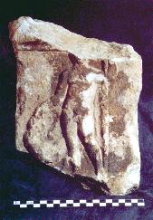 valen01m.JPG (12208 octets)