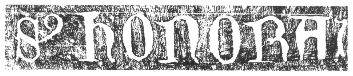bul6121.JPG (13412 octets)