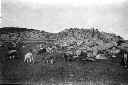 B000194p.BMP (11958 octets)