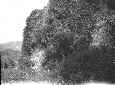 B000219p.BMP (10938 octets)