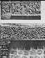 B000252p.BMP (6858 octets)
