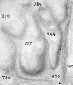 B000269p.BMP (7538 octets)