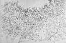 B000275p.BMP (12298 octets)