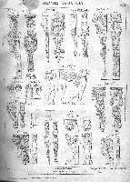 023.jpg (7927 octets)