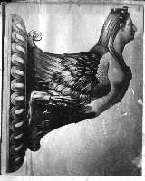 203-11.jpg (6597 octets)