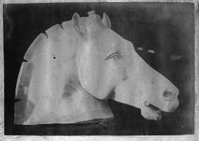 243.jpg (5898 octets)