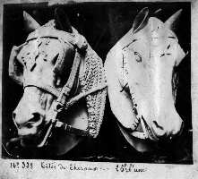 244-11.jpg (9195 octets)