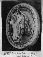 244-12.jpg (6060 octets)