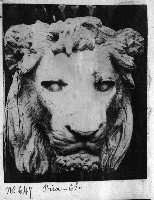 244-22.jpg (6683 octets)