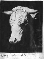 244-3.jpg (4427 octets)