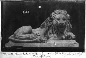 245-1.jpg (8286 octets)