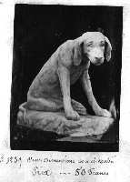 245-31.jpg (4917 octets)